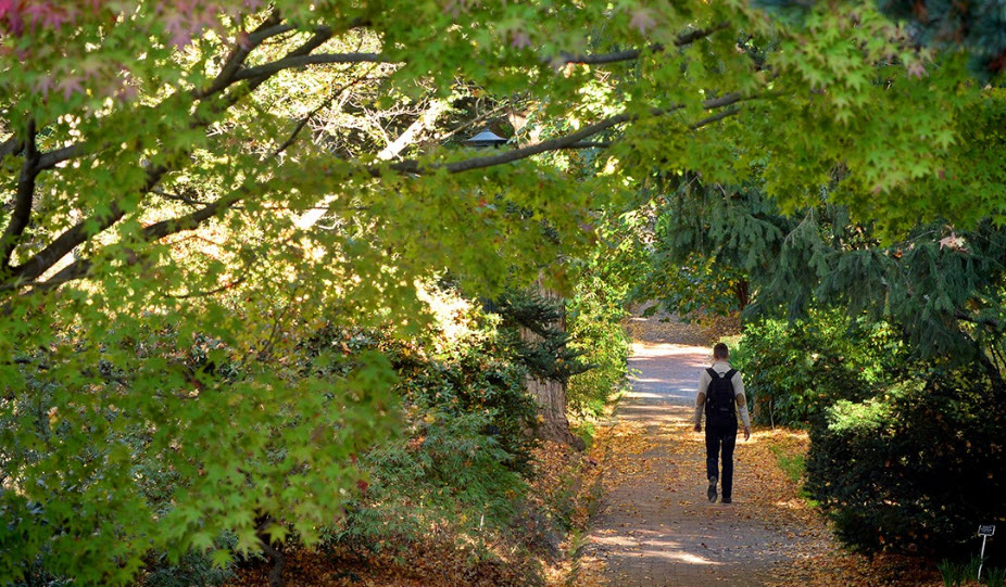 Coker Arboretum, United States